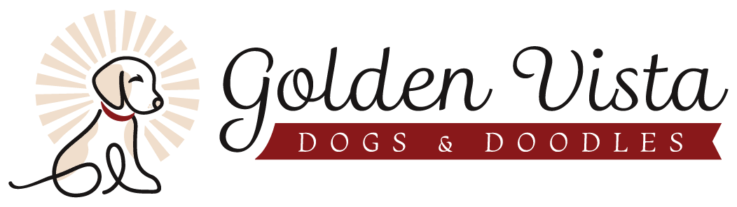 Golden Retriever and Goldendoodle Hobby Breeder | Golden Vista Dogs & Doodles | Arlington, WA