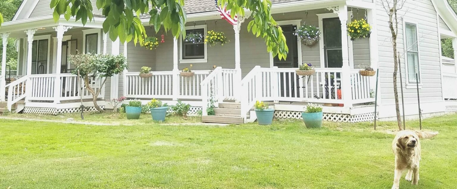 Golden Vista Dogs | Arlington, WA